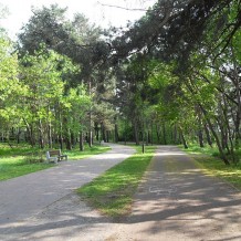 Park Jelitkowski