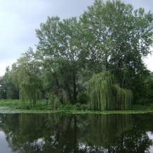 Jezioro Wilanowskie.
