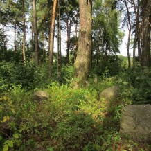 Cmentarz żydowski w Choroszczy.