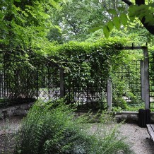 Ogród Botaniczny UW w Warszawie